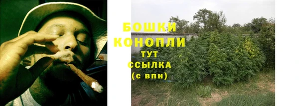 мет Бородино