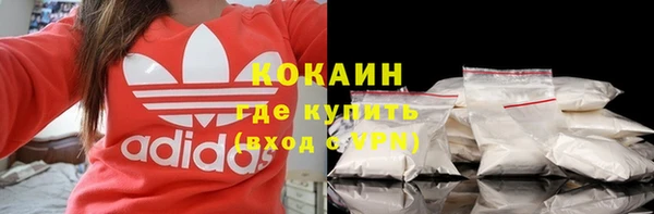 мет Бородино