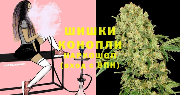 винт Бронницы