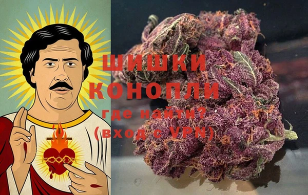 винт Бронницы