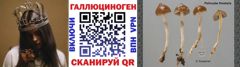 Галлюциногенные грибы Cubensis гидра вход Южно-Сухокумск