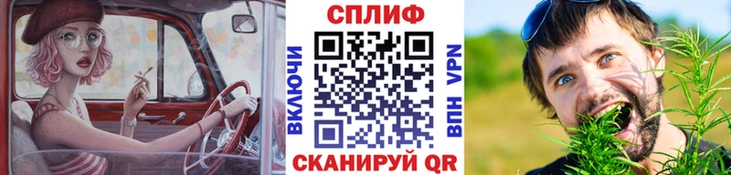 Каннабис сатива Южно-Сухокумск